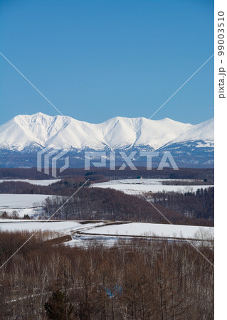 春の残雪の畑と雪山　十勝岳連峰 99003510