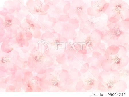 桜の花全体の背景 99004232