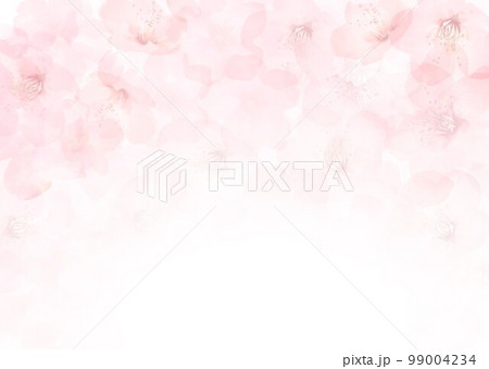 桜の花全体の背景 99004234