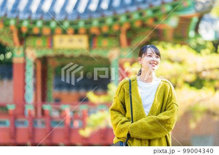 女子旅 旅行 若い女性 女子旅 旅行 若い女性 99004340