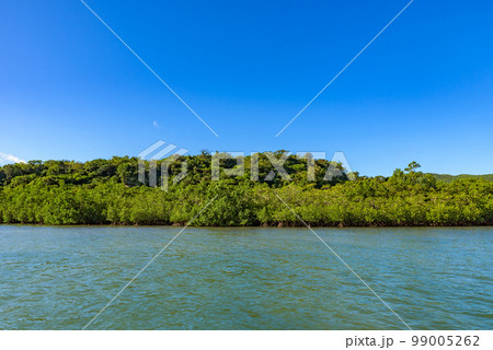 世界自然遺産「奄美大島、徳之島、沖縄島北部及び西表島」 仲間川のマングローブ林(西表島) 世界自然遺産「奄美大島、徳之島、沖縄島北部及び西表島」 仲間川のマングローブ林(西表島) 99005262