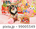 ひな祭りのコスプレをした犬の写真 99005549