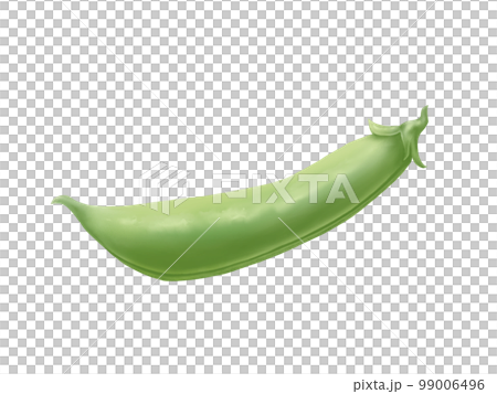 Illustration material of realistic and beautiful snap peas (watercolor) Illustration material of realistic and beautiful snap peas (watercolor) 99006496