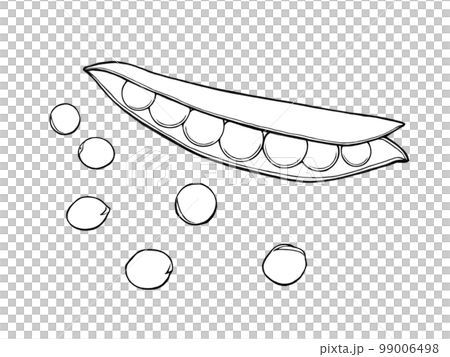 Simple illustration material (line drawing) of snap peas (opened inside and scattered beans) Simple illustration material (line drawing) of snap peas (opened inside and scattered beans) 99006498
