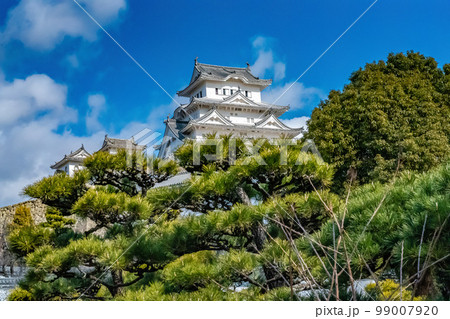 新年の姫路城 99007920