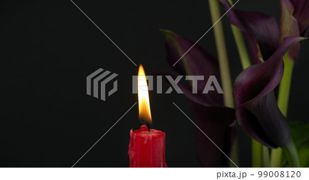 Purple sepals of the Calla lily near burning red candle Purple sepals of the Calla lily near burning red candle 99008120