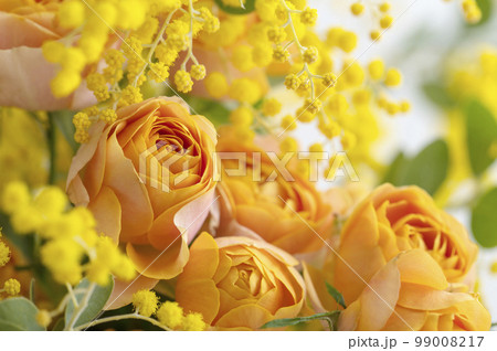 ミモザとバラ　黄色い花 99008217
