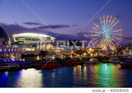 名古屋市　名古屋港水族館のイルミネーション 99008400