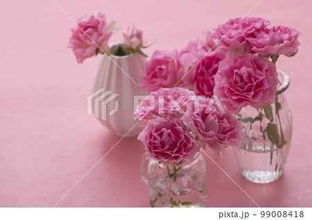 ピンク色のバラ 99008418