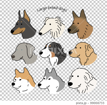 大型犬の顔アイコンセット 大型犬の顔アイコンセット 99008733