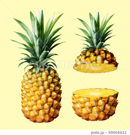 3D realistic pineapple elements 99008822