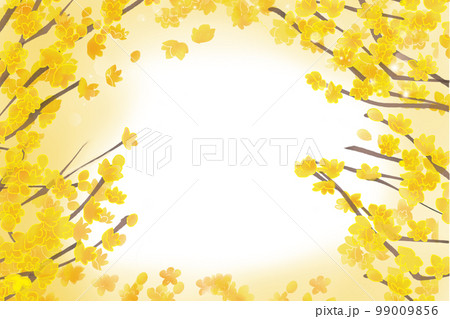 蝋梅フレーム1 99009856