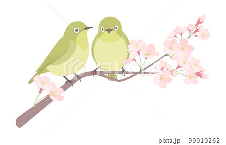 桜とメジロのイラスト 99010262