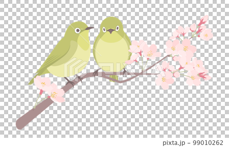 桜とメジロのイラスト 99010262