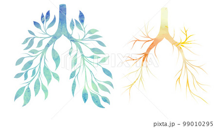 Vector set of watercolor silhouette of human lungs from leaves and branches. Withering health. Old human organ. Earth seasons. 99010295