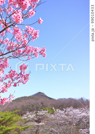 《兵庫県》三田市、初春の有馬富士 99010433