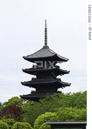 東寺 五重塔 東寺 五重塔 99010681