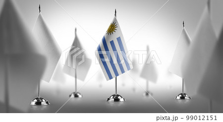 The national flag of the Uruguay surrounded by white flags 99012151