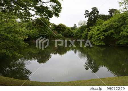 京都仙洞御所 北池 女院御所の池 京都仙洞御所 北池 女院御所の池 99012299