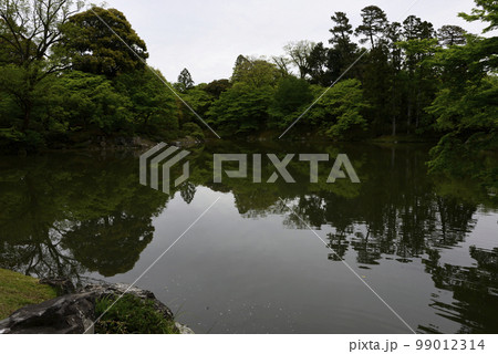 京都仙洞御所　北池　女院御所の池 99012314