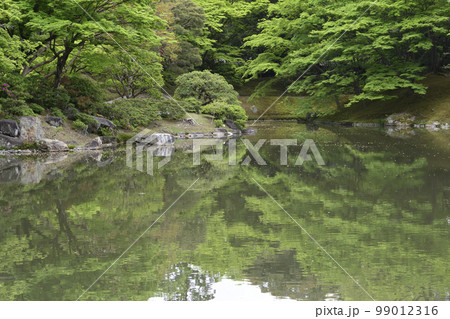 京都仙洞御所　北池　女院御所の池 99012316