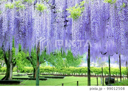 カバンの藤 99012508