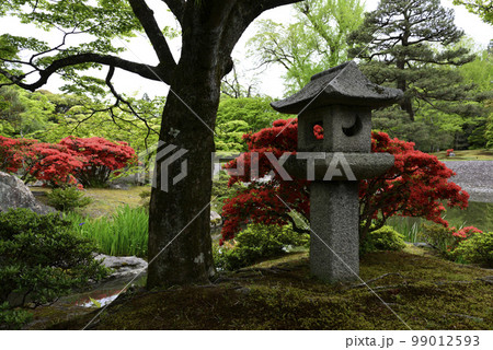 京都仙洞御所　南池　草屋形の燈籠 99012593