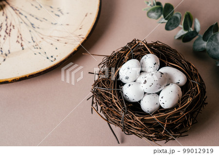 Easter composition of quail spot eggs in nest near plate with plants twigs and branch of eucalyptus on beige background. Easter composition of quail spot eggs in nest near plate with plants twigs and branch of eucalyptus on beige background. 99012919