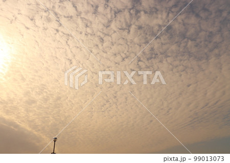 紅く染まる雲 高積雲 街灯 紅く染まる雲 高積雲 街灯 99013073