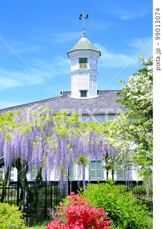旧中込学校と藤の花 旧中込学校と藤の花 99013074