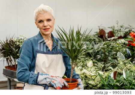 Home garden in the apartment, in the country, in the city. 99013093