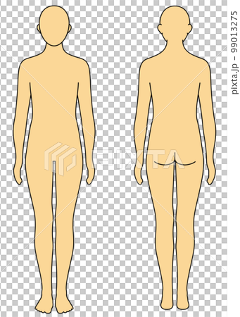 Body model front and back color Body model front and back color 99013275