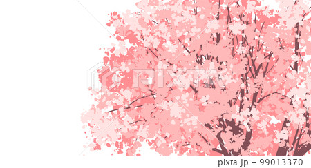 背景イラスト_桜の背景 背景イラスト_桜の背景 99013370