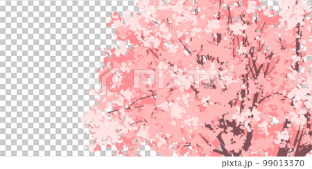 背景イラスト_桜の背景 背景イラスト_桜の背景 99013370