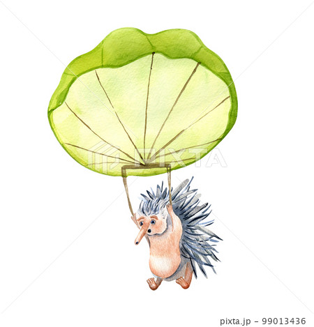 Cartoon echidna with parachute watercolor illustration isolated on white. Cartoon echidna with parachute watercolor illustration isolated on white. 99013436