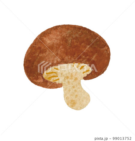 しいたけ　手描き　イラスト 99013752
