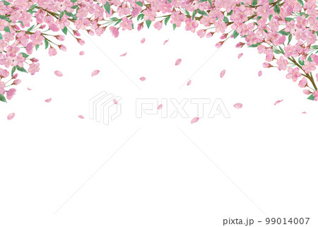 桜の花と綺麗に舞い散る桜の花びらの透明背景の水彩画イラストの