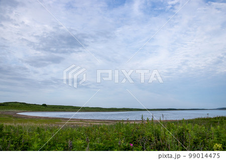 海辺の湖 海辺の湖 99014475