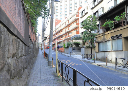 無縁坂 台東区池之端1丁目から文京区湯島4丁目 無縁坂 台東区池之端1丁目から文京区湯島4丁目 99014610