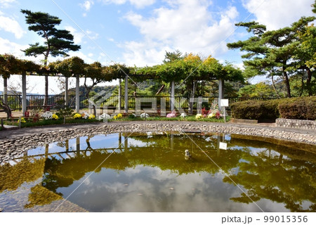 足利市 織姫公園噴水広場と紅葉 足利市 織姫公園噴水広場と紅葉 99015356