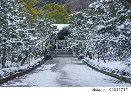 東大谷参道　大谷祖廟　真宗大谷派（東本願寺飛地境内） 99015757