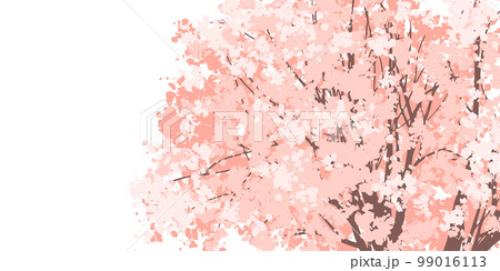 背景イラスト_桜の背景 99016113
