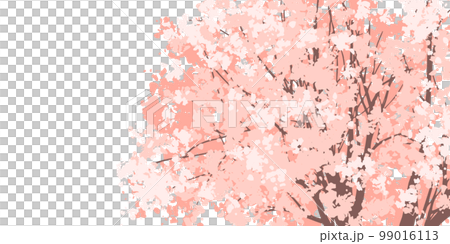 背景イラスト_桜の背景 99016113