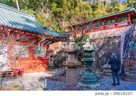 (静岡県)久能山東照宮 開花が始まった実割梅(白梅) (静岡県)久能山東照宮 開花が始まった実割梅(白梅) 99016207