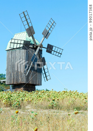 An old wooden windmill in the middle of a sunflower field on a summer day. 99017368