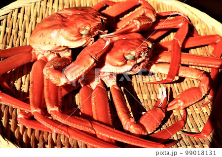 紅ズワイガニ 99018131
