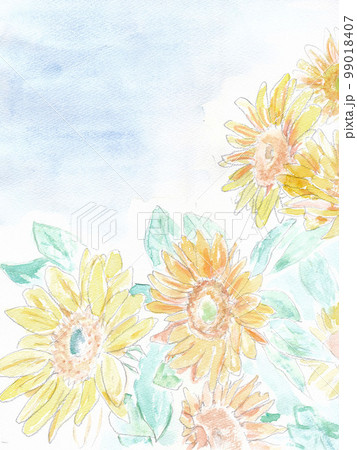 ひまわりと空 ひまわりと空 99018407