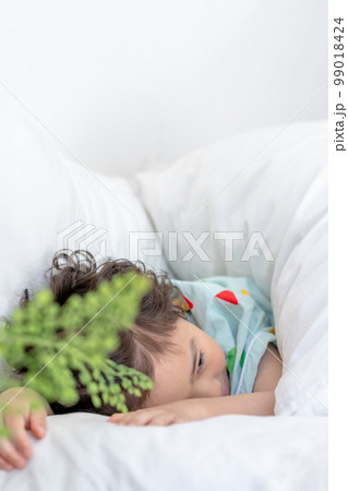 ベッド 寝台 睡眠 99018424