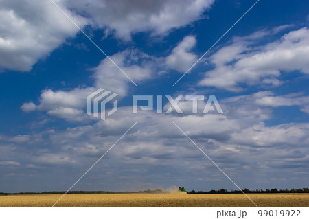 Photo of combine harvester that is harvesting wheat with dust straw in the air Photo of combine harvester that is harvesting wheat with dust straw in the air 99019922