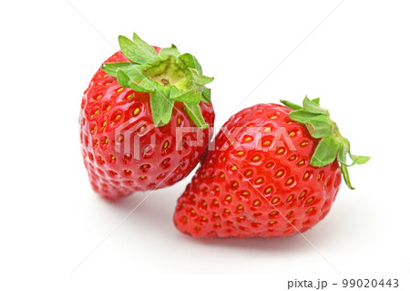 いちご（いちごさん） 99020443